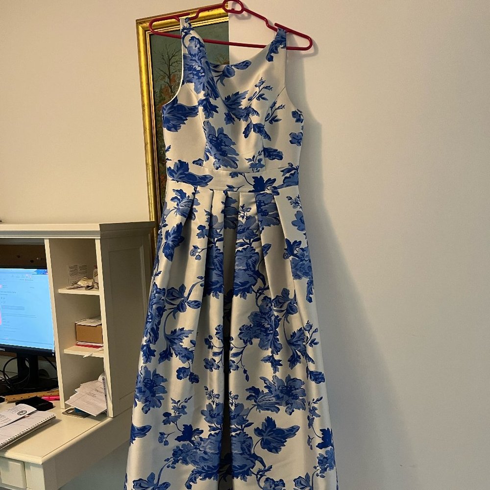 Blue and white ballgown